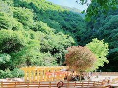 -少华山国家森林公园