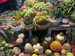 -三旗百汇商品城