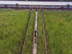 -河北村民俗体验园