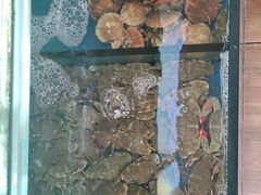 -百丰园海鲜烧烤农家菜(威·至海港湾店)