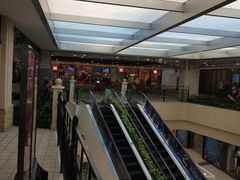 -西贝莜面村(东莞壹号广场店)
