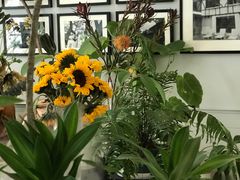 -一尺花园(安和花园店)