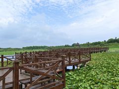 -上海海湾国家森林公园