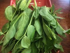-大理.老字号渝记酸萝卜乌鱼(古城总店)
