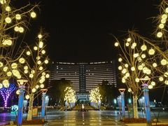 -处州公园