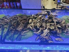 -星海汇海鲜自助烤肉火锅(百大店)