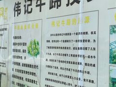 -伟记牛蹄(道滘店)