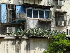 -曹杨八村