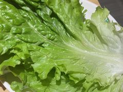 -玫瑰花园自助烤肉(顺义鑫海韵通店)