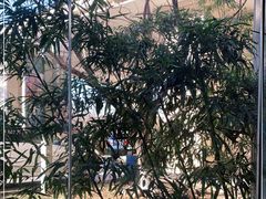 -春晖园度假酒店温泉