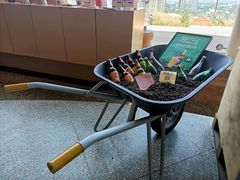 -Seesaw Coffee(朝阳大悦城店)