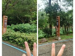 -红花湖景区