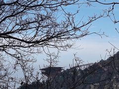 -少华山国家森林公园