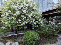 -花韵丁香酒店(北京南站牛街店)