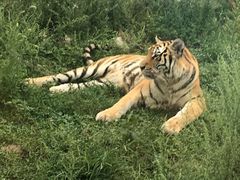 -西安秦岭野生动物园