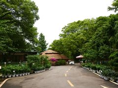 -天怡·鱼工厂(梅溪湖店)