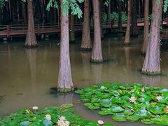 -捞渔河湿地公园