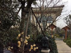 -苏州湾王焰温泉度假酒店