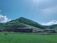 -关山草原