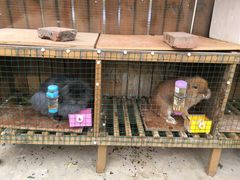 -嘉德美润儿童之家