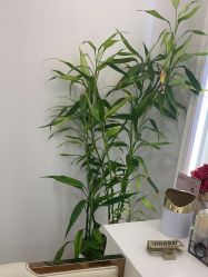 -爱睫物语·疗愈美睫美甲