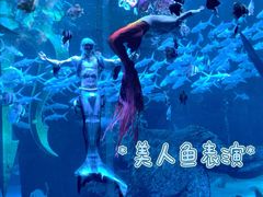 -哈尔滨波塞冬海底世界