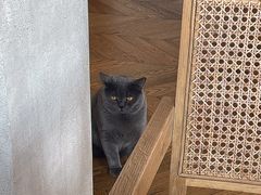 -Me Coffee下午茶艺术空间