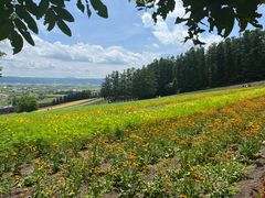 -富田农场