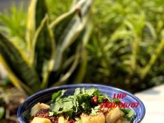 凉拌豌豆粉-留焕小吃·昆明非遗小吃品牌(文明街店)