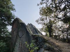 -南山植物园