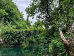 -石台牯牛降景区