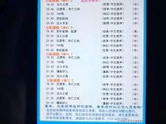 -枫花园汽车电影院(朝阳公园店)