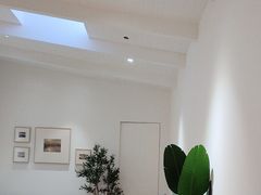 -极简口腔(总院)