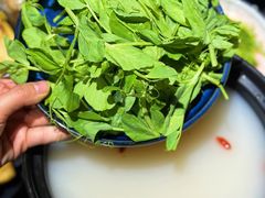 -牛牛和牛海鲜粥底火锅(长虹国际城店)