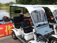 -上海海湾国家森林公园