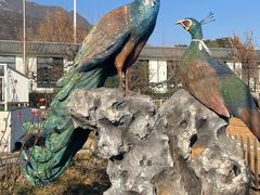 -丽泽山庄·生态怀柔菜·虹鳟鱼(红螺寺店)