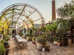 -The Grounds of Alexandria