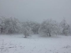 -太子岭滑雪场