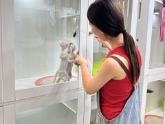 -青奢宠物·青奢猫舍