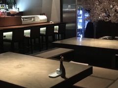-贰捌零叁精致料理(钱湖店)