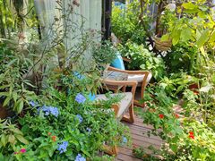 -大隐花事(熊婆婆的花园店)