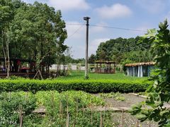-洪湖家庭农场·团建·露营·会议