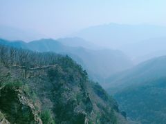 -牛背梁国家森林公园