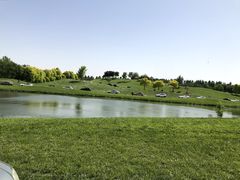 -陕味食族油泼面(同济南路店)