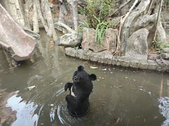 -长鹿旅游休博园