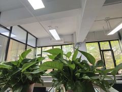 -东方私塾一对一辅导
