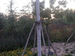 -太平河公园