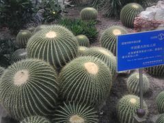-北京植物园-展览温室