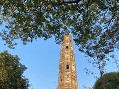 -上海佘山国家森林公园天马山园