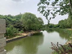 -大兴滨河森林公园